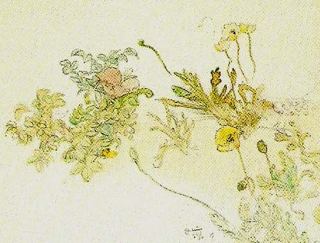 Carl Larsson blommor- nyponros och backsippor oil painting image